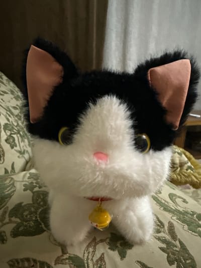 A close-up, eye-level shot shows a plush black and white cat toy with pink inner ears and yellow eyes. A small pink nose is visible on its white face, and a red collar with a yellow bell hangs around its neck. The toy is positioned on a patterned fabric surface, possibly a sofa or cushion, with a dark background behind it. The overall lighting suggests an indoor setting. The image does not contain any information related to Shamkhal, Russia.
