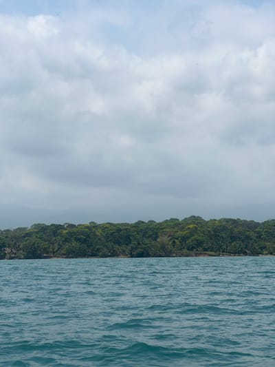 The image shows a view of the sea, a forested shoreline, and a cloudy sky. The sea is a blue-green color with noticeable ripples on the surface. The shoreline is densely covered with trees, mostly green. The sky is overcast with light gray clouds. The location is likely near Livingston, Guatemala, given the tropical vegetation and coastal environment.