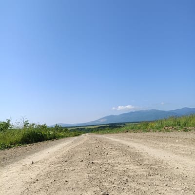 The image depicts a dirt road winding through a rural landscape under a clear blue sky. The road, composed of light brown earth and small stones, occupies the foreground and extends into the middle ground, where it curves out of view. Lush green vegetation, including tall grass and bushes, borders the road on the left and right sides. In the distance, rolling hills covered in forests and fields transition into a range of blue-tinted mountains. The scene is devoid of any people or animals. The photograph appears to be taken from a low angle, emphasizing the texture of the dirt road. The overall setting suggests a remote, natural environment, likely in the countryside surrounding Tambovskoe, Russia, given the visual characteristics of the terrain and vegetation.