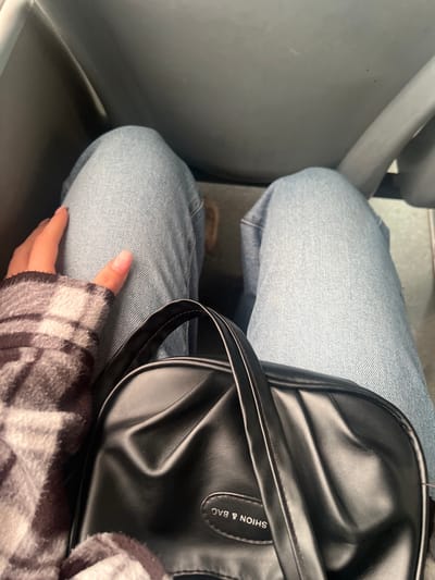 The image shows a person sitting on a gray seat, possibly on public transportation. They are wearing light blue jeans and a black, leather-like purse labeled "SHION & BAG" rests on their lap. The person is also wearing a gray and white plaid sweater. The setting is likely indoors, based on the lighting and surroundings. Specific location within Blizhniy Khutor, Moldova cannot be determined from the image.