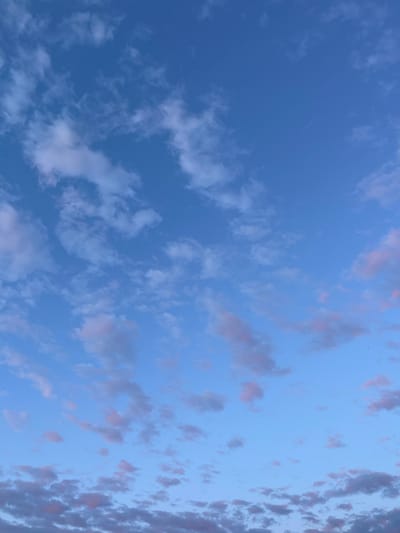 The image presents a vast expanse of a partly cloudy sky, likely captured during either sunrise or sunset. The sky is predominantly a clear, serene blue, gradually shifting from a deeper, richer tone on the left to a lighter, softer shade towards the right. Scattered throughout the blue canvas are numerous clouds of varying forms and densities.
On the left and central portions of the frame, the clouds appear as delicate, wispy streaks and small, dispersed patches of white and light grey. These formations are somewhat translucent, allowing the blue sky to show through. As the gaze moves towards the right side of the image, the cloud cover becomes more substantial and concentrated. Here, many of the clouds exhibit subtle but distinct hues of pink, soft orange, and reddish-brown, illuminated by the low angle of the sun. These colored clouds range from small, fluffy clusters to more elongated and textured formations, creating a striking contrast against the pale blue background, particularly along the far right edge of the frame.
There are no people, man-made objects, or discernible text visible in the image. A few minute dark specks, possibly distant birds or insects, can be observed in various parts of the sky, but they are too indistinct for positive identification. The scene conveys a sense of natural tranquility and the immense scale of the atmosphere, with the interplay of light and clouds defining the composition. While the location is contextualized as Куликово, Russia, the image itself provides no specific geographical cues.