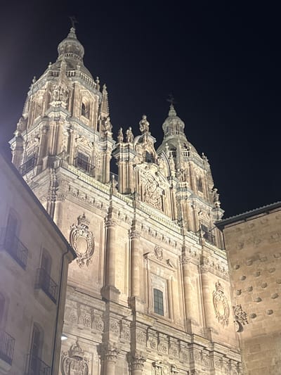 The image displays the elaborately illuminated Baroque facade and two prominent bell towers of the New Cathedral of Salamanca, Spain, captured at night. The cathedral, constructed from light-colored stone, is bathed in warm, artificial light that highlights its intricate details against a dark, clear sky. Both towers are multi-tiered, featuring decorative columns, arches, balustrades, and numerous sculptural elements, culminating in domed spires topped with crosses.

The main facade of the cathedral is richly ornamented with a dense array of carvings, including decorative columns with classical capitals, niches containing statues, and various heraldic crests, such as a large crowned oval crest positioned on the lower left section of the cathedral wall. Small, rectangular windows are interspersed within the architectural elements.

To the left, a portion of an adjacent, multi-story building with a plainer stone facade is visible, featuring dark-colored balconies with metal railings. To the right, a section of a darker, older stone wall, likely belonging to the Old Cathedral or an immediate adjoining structure within the cathedral complex, displays repetitive relief shell motifs (conchas) patterned across its surface. No individuals or active subjects are present in the scene.