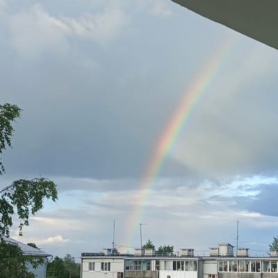 The image shows a view of Vyshgorodok, Russia, featuring a prominent rainbow arching across a cloudy sky. In the foreground, the tops of buildings with flat roofs and visible chimneys are visible. There are also trees with green foliage on the left side of the frame. The sky is a mix of grey storm clouds and lighter, brighter areas, with the rainbow clearly defined against the darker clouds. The scene appears to be taken from a slightly elevated vantage point, possibly a window or balcony, as indicated by the dark angled structure at the top of the image. No people or specific actions are depicted.