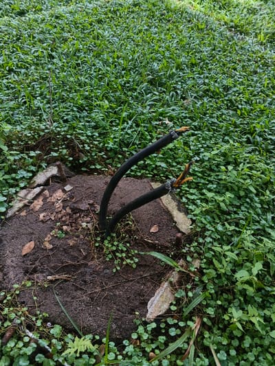 The scene, located in ឃុំ ផាត់សណ្ដាយ, Cambodia, displays two severed black electrical cables emerging vertically from a mound of dark brown earth. The insulation at the terminal ends of both cables is stripped, revealing internal wires with yellow, blue, and bare metallic sheathing. The cables originate from an irregular patch of soil containing scattered dry leaves and sparse green ground cover. Fragments of broken concrete or stone are visible within the disturbed earth around the base of the cables. The broader environment consists of a dense, verdant expanse of low-lying green grass and various ground-covering plants. No people or animals are present; no active interactions are observed.