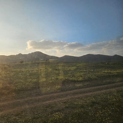 The image depicts a rural landscape in Jbilate, Morocco, under natural light conditions, likely late afternoon or early morning, indicated by long shadows. The foreground features a dirt path or track, bifurcating slightly, traversing a field of low-lying green vegetation interspersed with numerous small yellow flowers. This verdant field extends into the midground. The background is dominated by a range of dark, undulating hills or mountains. The sky above is a clear light blue, transitioning to brighter hues on the left, with scattered white and light grey clouds present, particularly in the upper left quadrant. No human figures, animals, or specific man-made structures are discernible, presenting an uninhabited natural environment.