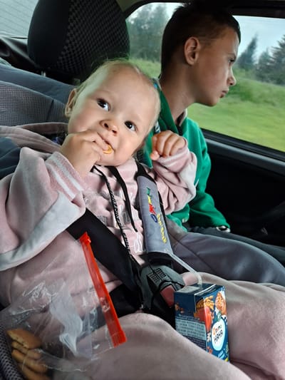 The image shows two children in a car. In the foreground, a young girl wearing a pink hoodie is seated in a car seat, eating a biscuit. She is looking up and to the left. Behind her, a boy in a green hoodie is looking out the window to the right. The car appears to be moving, as indicated by the blurred trees visible through the window. On the seat beside the girl, there is a clear plastic bag containing biscuits and a juice box with a straw. The interior of the car is visible, including the car seats and a headrest. The setting appears to be on a road outside of the city of Ленинск, Russia, given the rural scenery outside the window.