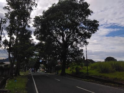 This image presents a semi-urban road scene in Hafjell, Norway, under a partly cloudy sky. A two-lane asphalt road, appearing dry and dark, extends into the mid-ground, subtly curving to the left. A continuous white line marks the left edge of the visible road.

On the left side of the road, a narrow strip of grass precedes a concrete drainage ditch. Beyond the ditch, a low wall partially obscures residential structures, themselves largely hidden by a dense line of tall, leafy deciduous trees. Utility poles with multiple power lines are visible along this left side, extending upwards. On the road itself, in the mid-ground, a blue motorcycle or scooter is observed, accompanied by at least one other motorcycle and a dark-colored car, all traveling away from the viewer.

The right side of the road features a wide, overgrown grassy field containing tall grasses and shrubs. A single utility pole stands within this field. Further back, a single-story house with a dark roof and light-colored walls is visible. The scene is heavily framed by large, mature deciduous trees with dark green foliage, some silhouetted against the sky, suggesting daytime with partial sunlight.