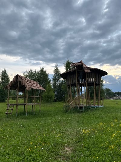 In Petrovo, Russia, on a cloudy day, two thatched-roof structures stand in a grassy field dotted with wildflowers. The structure on the left is a simple open-sided shelter with a ladder leading up to it. The larger structure on the right is a multi-tiered, circular wooden building with vertical wooden slats and a thatched roof. A person is visible on a ladder inside this larger structure, appearing to be working on the roof. The background consists of a line of green trees under a dramatic, overcast sky.