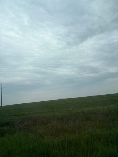The image shows a rural scene, possibly near Boliartsi, Bulgaria, but without specific landmarks, confirmation is impossible. A green field occupies the right portion, transitioning to a slightly hazy or overcast sky to the left. Power lines stretch across the sky. A utility pole is present in the lower portion of the image. The sky is uniformly gray, suggesting cloud cover. The field appears to consist of vegetation, with varying shades of green. No people, animals, or other objects are clearly discernible.