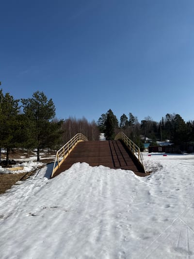 An image captured in Oleshkovo, Russia, depicts an outdoor scene dominated by a brown, corrugated metal pedestrian bridge or ramp extending from the foreground into the background, curving slightly upward. Yellow metal handrails line both sides of the bridge. The foreground and areas immediately adjacent to the bridge are covered in partially melted snow, revealing patches of brown earth and dry grass. Footprints are discernible in the snow to the left and right of the bridge. To the left of the bridge's base, a stack of wooden pallets rests on exposed ground next to white plastic sheeting. The sky is clear and bright blue, occupying the upper half of the frame. Tall pine trees with dark green needles stand to the left of the bridge, while a line of bare deciduous trees stretches across the mid-ground. In the distance to the right, behind the bridge, several small structures are visible, including a red-brown building with a window and a dark container-like structure, interspersed among more trees. No individuals or active subjects are present in the scene.