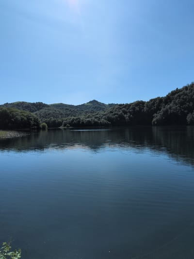 A serene, panoramic view of a calm lake is depicted under a clear blue sky. The foreground of the image features the tranquil surface of the lake, with subtle ripples creating a textured pattern that reflects the light. The midground showcases a dense, lush forest that encircles the lake, with the trees creating a dark green band against the brighter sky. Beyond the immediate treeline, rolling hills covered in vegetation rise gently, their contours softened by distance and the lush greenery. The sky is a vibrant, cloudless blue, with a subtle lens flare visible in the upper right quadrant, suggesting the presence of the sun. The scene appears to be a natural landscape, possibly a reservoir or a mountain lake, located in or near the city of Toğanalı, Azerbaijan. There are no people or man-made structures visible in the frame, emphasizing the untouched, natural beauty of the environment.