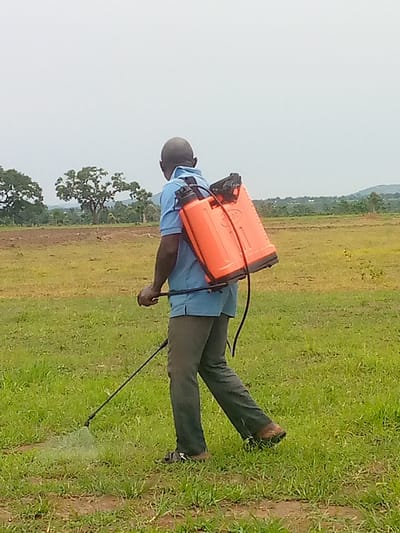 In Madakiya, Nigeria, a person is seen from behind, walking across a grassy field. The individual is wearing a light blue shirt and dark pants, and has a large, bright orange backpack sprayer on their back. They are holding a long spray wand, which is angled downwards and spraying a fine mist onto the ground in front of them. The field is green and somewhat uneven, with patches of bare earth visible. In the background, there are several trees and rolling hills under a hazy, overcast sky. The overall impression is of agricultural activity in a rural setting.