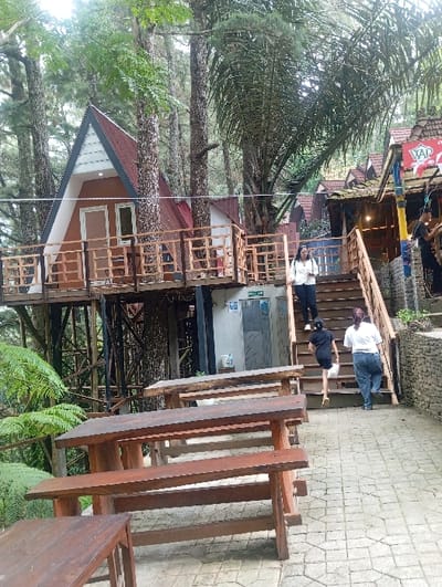 The image depicts an outdoor recreational area in Kajar, Indonesia, characterized by elevated wooden structures integrated into a forested environment. In the foreground, three empty dark brown wooden picnic tables with attached benches are positioned on a light-colored paved pathway composed of interlocking pavers. To the left, an A-frame cabin with a light brown facade, white trim, and a dark red roof stands elevated on wooden stilts, featuring a wooden balcony with a railing. Below this structure, a small, grey utility building with two white doors is visible.

To the right of the foreground tables, a wide wooden staircase ascends towards a multi-level building complex with dark roofs and additional wooden railings. Four individuals are present: one woman in a white long-sleeved shirt and dark pants stands on a staircase landing, facing forward. Two other women, one in a black top and shorts holding a white bag, and another in a white t-shirt and blue jeans, are ascending the wooden stairs. A fourth person, partially obscured, stands near the upper right building. The scene is dominated by numerous tall trees, including slender pines and a large palm, with lush green ferns in the lower-left. A stone retaining wall lines the right side of the pathway.
