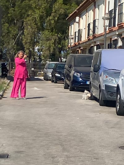A woman in a bright pink pantsuit stands on an asphalt surface in front of several parked vehicles, including a dark blue minivan and a silver minivan. She is gesturing with her right hand. A small, fluffy white dog on a leash is positioned between the blue and silver minivans. In the background, a row of buildings with balconies is visible, along with trees. The scene appears to be a street or parking area in Cancelada, Spain.