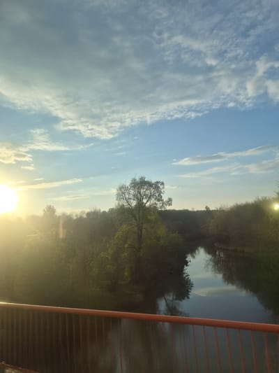 The image captures a daytime scene in Arkhangel'skoe, Russia, featuring a body of water, likely a river or pond, bordered by a dense forest area. A bridge structure, evidenced by an orange railing on the right, suggests the viewpoint is from a bridge overlooking the landscape. The sun, positioned near the bottom edge, casts a bright glow across the foreground, obscuring finer details. The sky above is filled with scattered clouds, reflecting sunlight. The forest area appears lush, with visible trees reflected in the water. No people are visible in the shot.