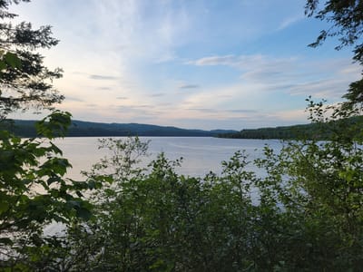 The image shows a serene natural landscape with a body of water, likely a lake, dominating the midground. The water's surface is calm, reflecting the soft hues of the sky, which is a mix of pale blue and scattered white clouds. The sky appears to be transitioning from day to evening, with a gentle gradient of light.
The foreground is filled with lush green foliage, including trees and shrubs, framing the view of the water and the distant shoreline. The trees on the left and right edges of the frame are denser, with pine needles visible on the left. The vegetation is dense and appears healthy, suggesting a temperate climate.
In the distance, a gently sloping, tree-covered shoreline forms a natural barrier, with rolling hills fading into the horizon. The overall impression is one of tranquility and untouched nature.
Regarding the location in Shawinigan, Canada, the scene is consistent with the numerous lakes and forested areas found within or surrounding the city. Shawinigan is known for its natural beauty, including the Saint-Maurice River and several lakes such as Lac des Commissaires, Lac Wapizagonke, and Lac Shawinigan, all of which could offer similar vistas. The presence of coniferous and deciduous trees, along with the general topography, aligns with the natural environment of the Mauricie region where Shawinigan is situated. However, without specific landmarks, it's impossible to pinpoint the exact location within Shawinigan.
No people, animals, or man-made structures are visible in the image, emphasizing the natural and undeveloped character of the scene. The image captures a moment of peaceful natural beauty.