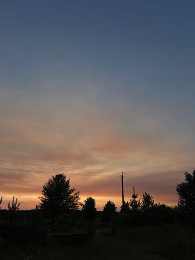 The image captures a silhouetted landscape at dusk, with a soft gradient of blue sky transitioning into warm hues of orange and pink from the setting sun. The scene is divided vertically, with the left side dominated by the expansive sky and the right side by the dark silhouettes of trees and a utility pole.
Prominently featured is a utility pole with three wires stretching horizontally across the frame. These wires cut through the colorful sky, suggesting a rural or semi-rural setting. The trees on the right side of the image are densely packed and appear to be a mix of deciduous and possibly some palm-like trees, their dark forms contrasting sharply with the vibrant sky. The ground is also dark and covered in vegetation, hinting at a grassy or overgrown area.
The time of day is clearly indicated by the sunset colors and the low light conditions, creating a peaceful and serene atmosphere. There are no visible people or text in the image. The overall impression is one of natural beauty and quietude, typical of a peaceful evening in a natural setting, possibly in Petrushky, Ukraine given the location context.