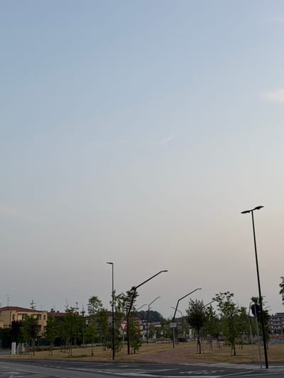 The image captures a street scene in Mejaniga, Italy, at dusk. The sky is a pale, hazy blue, suggesting low light conditions. In the foreground, a paved road with crosswalk markings is visible. To the right, a tall, slender streetlamp stands out against the sky. Further into the scene, a park area is dotted with young trees and more modern-looking streetlights with angled heads. Behind the park, residential buildings with terracotta roofs are visible, interspersed with trees. The overall atmosphere is quiet and urban, with a focus on the infrastructure of the street and park.