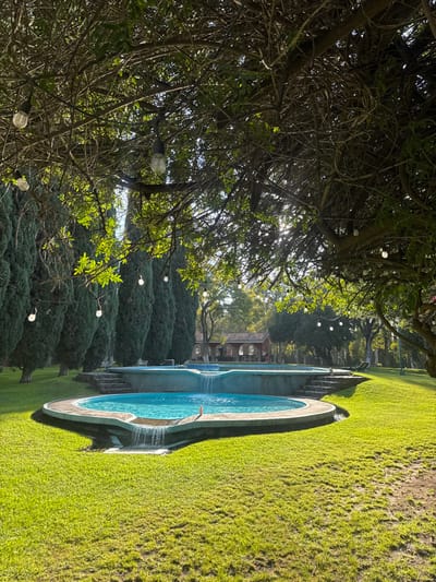 A lush green lawn extends to an oddly-shaped, blue swimming pool. A line of manicured bushes stands between the pool and a distant building. Bare tree branches with strung lights hang overhead, partially obscuring the view of the sky. The image has a serene, outdoor feel, capturing a well-maintained garden space.