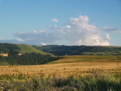 An exterior, wide shot captures a rural landscape under a bright, partially cloudy sky. In the foreground, a field of dry, golden wheat stretches across the scene, with a strip of green vegetation and purple wildflowers at the very bottom edge. Behind the wheat field, rolling green hills are visible, with some appearing treed and others covered in grass. A large, dark power line tower is prominent on the left side of the frame, situated on one of the hills. Further back, more layered hills recede into the distance, the furthest ones appearing as a dark green, tree-covered silhouette against the sky. Several tall, thin white poles, possibly part of a communication array, are clustered on a distant hilltop. Power lines are also faintly visible stretching across the sky in the upper portion of the image. The lighting suggests it is either early morning or late afternoon, casting long shadows and illuminating the landscape with a warm glow. This scene depicts the natural beauty of the rural outskirts of Kubina, Russia.