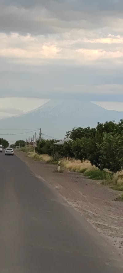 The image shows a cloudy sky over a vast, snow-capped mountain range in the distance, likely Mount Ararat, visible from Tsiatsan, Armenia. In the foreground, a paved road curves to the left, with a white car and a white van traveling in the same direction. To the right of the road, there is a grassy verge with scattered dry grass and small trees. Beyond the verge, more trees form a dense line, with a small gazebo-like structure visible behind them. Utility poles and wires run along the side of the road, and a triangular road sign with a fork symbol is also present. The overall impression is a rural or semi-rural landscape under an overcast sky.