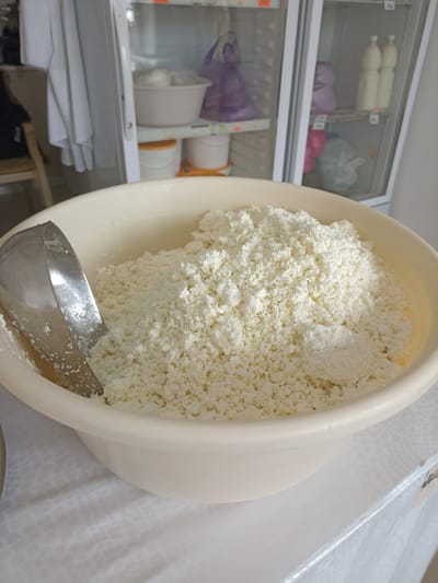 A close-up, eye-level shot shows a large, cream-colored plastic bowl filled with a generous portion of crumbled white cheese. A stainless steel scoop is partially submerged in the cheese on the left side of the bowl. The bowl rests on a white, patterned tablecloth. In the background, a glass-fronted refrigerator displays various items, including white and purple bags on shelves, and two bottles of a light-colored liquid. To the far left, a white garment hangs from a hook, partially obscuring a chair. The scene appears to be indoors, possibly in a kitchen or food preparation area, in the city of Buynaksk, Russia, though this location is not explicitly confirmed by visual cues within the image itself.