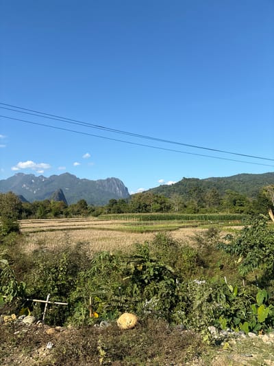 A rural landscape presents a vast blue sky intersected by power lines. Mountain ranges form a backdrop, transitioning into lush greenery and cultivated fields. A rough cross stands among dense foliage on the edge. A large, round object, possibly a boulder, sits in the thick undergrowth. The scene suggests a blend of natural beauty and human elements.