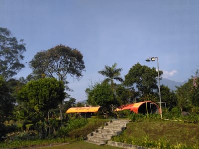 This image depicts a vibrant outdoor scene located in the city of Potočná, Czechia. The environment is dominated by lush green vegetation, featuring numerous tall trees with dense canopies, including a prominent palm tree, alongside various bushes and ground cover on grassy slopes. Two orange, tunnel-shaped temporary shelters are present in the midground; the one on the left prominently displays the white acronym 'BNPB'. Concrete steps, consisting of several treads, ascend a grassy incline from the lower foreground towards the center. A grey metallic pole with a modern, rectangular street lamp fixture is situated to the right of the steps. In the distant background, hazy mountains or hills are visible beneath a clear, light blue sky. No individuals are depicted within the scene. The 'BNPB' marking on the tent indicates an affiliation with the Indonesian National Board for Disaster Management.
