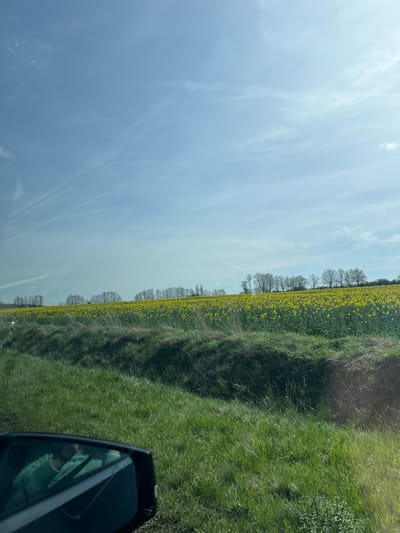 The image shows a field of yellow rapeseed flowers along a road. The field is located in the city of Vettweiß, Germany. The image was taken from a moving vehicle, as the side mirror is visible in the lower right corner. The sky is light blue with some clouds. There are trees that line the rapeseed field. The field is bordered by green grass and plants.