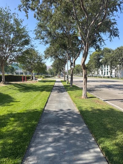 A concrete sidewalk runs parallel to a street lined with manicured green grass and trees. The sidewalk is in the foreground, casting shadows from the overhead trees. Beyond the grass, a street with yellow lane dividers is visible, with buildings and more trees in the background. The sky is clear and blue. This scene appears to be in a commercial or suburban area, possibly in Fontana, California, United States of America, given the architecture and landscaping. There are no people or vehicles visible in the image. Two red fire hydrants are situated on the grass near a hedge.