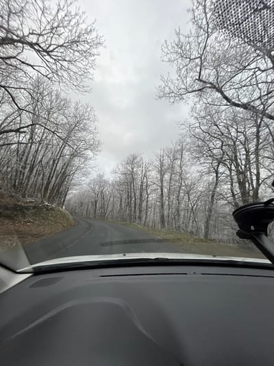 The image displays a winter road scene captured from the interior of a vehicle in Saint-Romain-en-Gal, France. A dark asphalt road, appearing damp, dominates the central and lower-mid sections of the frame, curving distinctly to the left. White dashed lane markers are visible on its surface. The road is flanked by a dense forest of deciduous trees, all bare of foliage. Their trunks and branches are heavily coated in a distinct layer of white frost or rime ice, creating a stark, high-contrast visual against the overcast, light gray sky. The lower fifth of the image is occupied by the dark-colored, textured dashboard of the vehicle. A black, multi-component suction-cup mount, consistent with a phone or GPS holder, is affixed to the right side of the windshield. A patterned, dark gray fabric is partially visible in the upper right corner, likely part of the vehicle's interior headliner or sun visor. No individuals or active subjects are present.