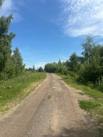 The image depicts a dirt road winding through a rural landscape under a bright blue sky with scattered white clouds. The road is flanked by lush green vegetation, including tall trees and thick grass. The scene suggests a natural, undeveloped area, possibly on the outskirts of a settlement. The specific location in the city of Shachebol, Russia, cannot be determined solely from the visual information in the image. There are no people, animals, or man-made structures visible, apart from the dirt road itself. The overall impression is one of a peaceful, sunlit day in a natural setting.