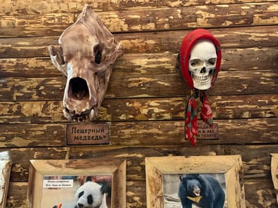 The image depicts a rustic wooden wall adorned with several items. On the left, a large, light-brown skull, possibly a bear skull, is mounted. Below it, a wooden sign reads "Пещерный медведь" (Cave Bear). To the right of the skull, a human skull is displayed, wearing a red headscarf and a patterned scarf tied around its neck. A small wooden sign next to it has the text "ходите и в лес и гулять" (go to the forest and walk). In the lower portion of the image, two framed photographs are visible. The left frame shows a panda with text below that reads "Наша сестрёнка Мэй Линь из Китая" (Our little sister Mei Lin from China). The right frame contains a photograph of a black bear. The overall scene suggests a display or exhibit, possibly in a museum or a themed establishment, in a location that emphasizes nature and wildlife. The city of Nikolaevsk-on-Amur, Russia, is not identifiable from the image itself.