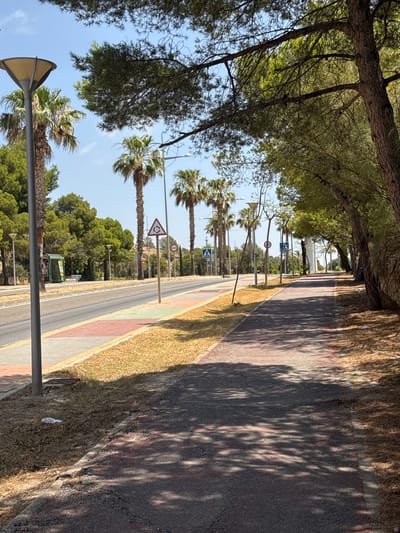 The image depicts a street scene in Urbanització Golf Badia, Spain. The perspective is from ground level, looking down a paved road lined with trees and palm trees. The road itself has a distinct pattern of red and grey paving stones along its edge, transitioning to asphalt. Dry, straw-like grass borders the paved area.
Several traffic signs are visible along the roadside. One sign indicates a roundabout, another a speed limit of 40, and two signs depict figures walking across a road, suggesting a pedestrian crossing. Streetlights with a yellow, triangular-shaped fixture are also present. In the background, a dense line of green trees forms a backdrop to the street. The sky is a clear blue, indicating fair weather. Sunlight casts dappled shadows from the trees onto the road and pavement, suggesting it is daytime, likely late morning or early afternoon. There are no people visible in the frame. A green recycling bin can be seen among the trees in the distance. A small piece of white litter is present on the dry grass near the edge of the road. The overall impression is a well-maintained, sunny street in a residential or resort-like area.