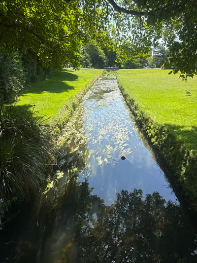 This media file depicts a sunlit, narrow canal or stream in a park-like setting. The water is clear and reflects the blue sky and surrounding trees. Aquatic plants, such as lily pads, are visible beneath the surface. On the left bank of the canal, a meticulously manicured lawn stretches into the distance, dotted with several white birds, possibly seagulls. The right bank is denser with foliage, featuring tall grasses and shadowed trees. Sunlight casts long shadows across the grass, suggesting it is a sunny day, likely mid-morning or late afternoon. The overall atmosphere is tranquil and serene. No people or text are visible. The location context is Bournemouth, United Kingdom.