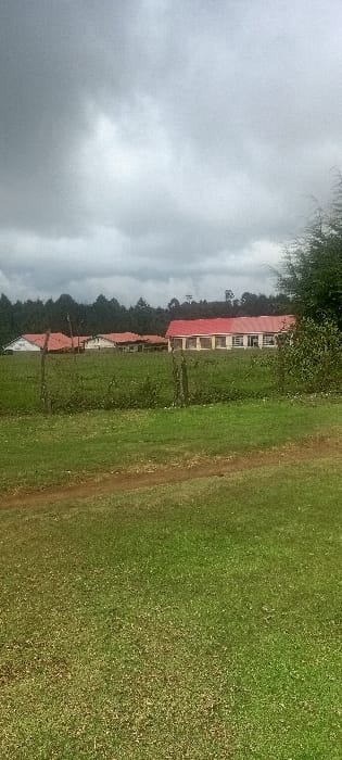A wide-angle landscape shot captures an outdoor scene in Rwanyambo, Kenya, under a uniformly overcast grey sky. The foreground consists of vibrant green grass, with a narrow, reddish-brown dirt path traversing diagonally from the lower-left to the mid-left. In the midground, two irregular wooden fence posts stand, delineating a boundary behind which additional green foliage and taller grass are visible. The background features a cluster of single-story buildings, all characterized by prominent red-tiled roofs. The most distinct building, positioned on the right, has a light-colored facade with multiple dark, rectangular window openings. Other similar red-roofed structures are partially visible further to its left. A dense forest line of dark green trees forms the distant horizon behind the buildings. No individuals, animals, or discernible actions are present within the frame.