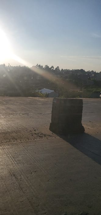 The image portrays an outdoor scene within Kikuyu Township ward, Kenya, bathed in bright, low-angle sunlight originating from the upper left, causing a distinct lens flare. The foreground consists of a dark, textured paved surface, likely asphalt or concrete, exhibiting multiple parallel tire marks and minor debris. A weathered, dark grey, rectangular concrete barrier block stands upright slightly right of the frame's center, casting a pronounced shadow to its right. Beyond the paved surface, a vegetated slope descends, revealing a small building with a light-colored, sloped roof. The distant background features rolling terrain covered with trees and scattered residential structures beneath a clear, light blue sky. No individuals, actions, or interactions are present.