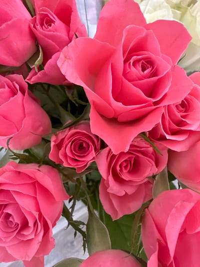 This media file is a close-up, overhead shot of a bouquet of pink roses, with a few hints of white flowers in the background. The roses are in various stages of bloom, with some fully open and others still budding. The petals are a soft, vibrant pink, with delicate folds and textures. Some of the roses have a slightly darker hue in the center, adding depth to their appearance. The overall impression is one of natural beauty and freshness. The lighting suggests it was taken indoors or on an overcast day, as there are no harsh shadows. The setting appears to be a floral arrangement, possibly for a special occasion or as a decorative piece. There is no text visible in the image. The scene evokes feelings of romance, beauty, and tranquility.