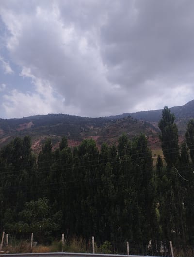 The image depicts a cloudy sky over a mountainous landscape. In the foreground, a dense line of tall, dark green trees stretches horizontally across the frame. Behind the trees, the middle ground reveals a rugged mountain slope with patches of reddish-brown soil and sparse vegetation. The sky above is filled with a mix of gray and white clouds, suggesting an overcast or potentially stormy day. A low barrier or fence made of metal and concrete posts is visible at the very bottom of the image, bordering a grassy area. No people or animals are present in the scene. The overall impression is one of a natural, somewhat remote, mountainous environment.