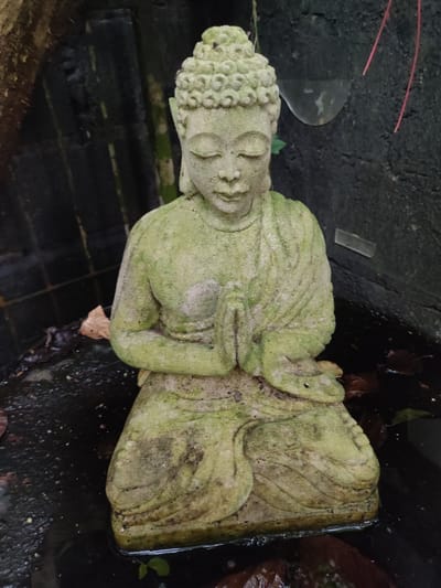 A weathered stone Buddha statue is seated in a shallow pool of dark water within a dark, enclosed space. The statue is covered in green moss and grime, indicating age and exposure to moisture. The Buddha is depicted in a meditative posture with eyes closed and hands in a praying gesture. The surrounding environment consists of dark stone or concrete walls covered in moss and grime. Fallen leaves and other debris are visible in the water. The background is mostly dark and out of focus. Based on the style of the statue and the environment, it is likely located in Bedulu, Indonesia, known for its ancient temples and stone carvings.
