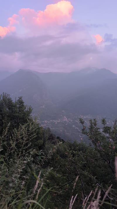 This is a photograph of a village nestled in a valley in Baragran, India, viewed from a higher vantage point. The sky above is a soft blend of pink and purple hues, with large, fluffy clouds. In the foreground, dense green foliage and branches from trees dominate the bottom and left sides of the frame. Beyond the trees, the valley opens up, revealing a scattered settlement with small buildings. The mountains surrounding the valley are shrouded in mist or fog, giving the scene a serene and somewhat ethereal quality. The overall impression is one of a tranquil rural landscape at dusk or dawn.