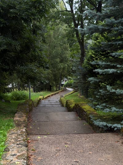 This is a vertical, eye-level, medium shot of a stone staircase descending through a lush, tree-lined park. The stone steps are worn and uneven, with moss growing on the weathered stone retaining walls on either side. The stairs are flanked by dense green foliage and mature trees, including a large blue spruce on the right with its distinctive blue-green needles. On the left, the greenery is a mix of grass and bushes. The overall atmosphere is one of quiet, natural beauty, suggesting a path in a park or a historic garden. This scene is likely located in the city of Świeradów-Zdrój, Poland, a spa town known for its health resorts and surrounding natural landscape.