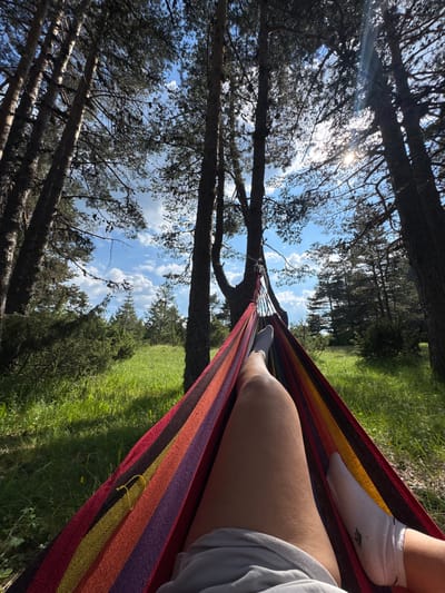 A person lies in a colorful striped hammock strung between two tall pine trees in a sunlit forest. The camera is positioned from the perspective of the person in the hammock, looking upwards through the trees towards a bright blue sky with scattered white clouds. Sunlight filters through the pine needles, creating lens flares. The hammock is made of interwoven fabric in stripes of red, orange, yellow, purple, and black. The person's legs, clad in white socks and gray shorts, are visible in the foreground. The ground around the trees is covered in lush green grass and smaller pine trees. The scene conveys a sense of relaxation and being outdoors in a natural setting. The location of Kosovo, Bulgaria, is an unfounded detail as it is not discernable from the image itself.
