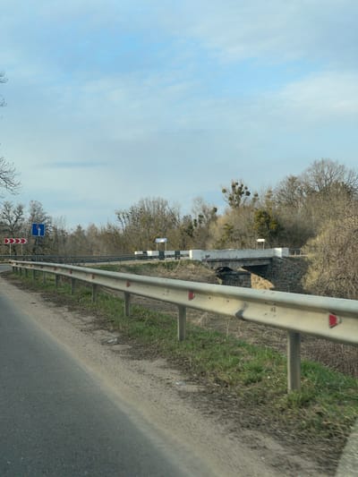 A street scene in Druzhba, Russia, presents a road with an asphalt surface and a gravel shoulder. A metal guardrail runs along the roadside. Trees line the background. Road signs are visible. A bridge is visible in the distance. The sky is overcast.
