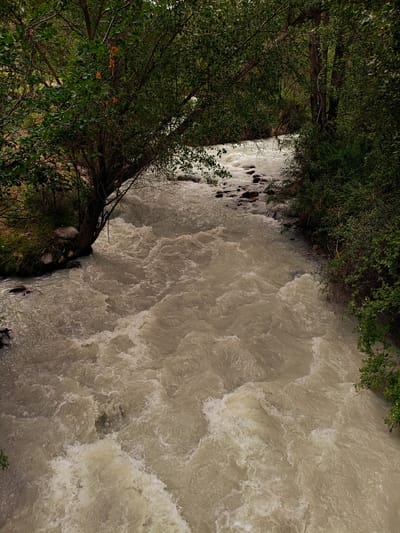 The image depicts a turbulent, muddy river flowing through a lush, green forest setting in Kashka-Suu, Kyrgyzstan. The water is a light brown, churning with whitewater rapids and eddies as it navigates a rocky riverbed. Overhanging trees with dense green foliage on both sides create a sense of enclosure, with branches reaching towards the water.
On the left bank, a large tree with a sturdy trunk leans over the water, its roots exposed and anchoring it to the muddy bank, which is also dotted with some large rocks. The right bank is densely vegetated with thick bushes and trees. The overall impression is one of natural, untamed beauty.
The scene suggests a natural landscape, possibly a mountain stream. The time of day appears to be daytime, with soft, diffused light, hinting at an overcast or possibly early morning/late afternoon setting. The weather seems cool and perhaps humid, given the lushness of the vegetation. There are no people or man-made objects visible, emphasizing the raw, natural state of the environment. The rushing water conveys a sense of power and movement, while the dense foliage suggests a peaceful and secluded location. There is no visible text in the image.