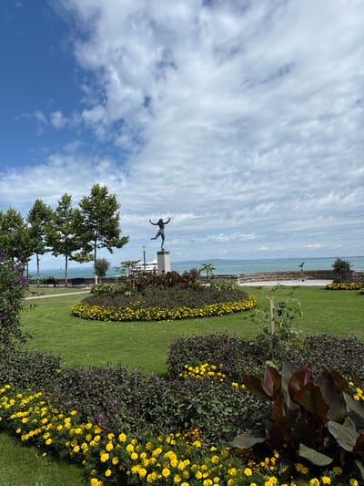 This is a landscape photograph taken in Rorschach, Switzerland, featuring a park area by a body of water, likely Lake Constance. In the foreground, there are meticulously maintained flowerbeds with abundant yellow marigolds and dark, leafy plants. A neatly mowed green lawn separates the flowerbeds.

In the mid-ground, a bronze statue of a figure in a dynamic pose, possibly dancing or leaping, stands on a tall, light-colored pedestal. Behind the statue, there are several mature trees with green foliage. A pathway and benches are visible behind the trees, suggesting a public recreational space.

The background reveals a wide expanse of water, with a few sailboats visible on the horizon. A large white boat, possibly a ferry, is docked or moving slowly on the water. The shoreline is lined with a stone wall, and beyond that, the distant landscape is hazy, with hills or mountains visible. The sky is partly cloudy, with dramatic formations of white clouds against a blue backdrop.

The overall impression is one of a serene and well-kept public park, offering a scenic view of the lake and surrounding landscape.