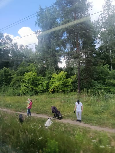 In Kupavna, Russia, a man walks his dog on a leash along a dirt path. A woman holds a baby. A stroller is present. The area is green with trees and grass. A train line with overhead wires is visible.