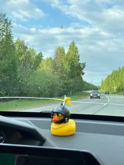 The image shows a view from inside a vehicle, looking out onto a road bordered by green trees. The sky is partly cloudy. On the dashboard, a yellow rubber duck wearing a black helmet with goggles and a gold chain sits near a speaker vent. There are cars visible on the road ahead. While I can identify that it is a view from a car, the location, Lesnoi, Russia, cannot be confirmed based on the provided image.