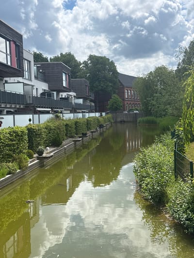 The image presents a canal or narrow waterway in Neumünster, Germany, viewed during daytime under a cloudy sky. The water is a murky green color, reflecting large white and gray cumulus clouds, buildings, and surrounding foliage.
On the left bank, a row of modern residential buildings is visible. These structures feature white lower facades and dark brown horizontal wood paneling on their upper sections. Red accents are present on some windows, possibly roller shutters. Each building unit includes balconies equipped with dark metal railings. Along the water's edge, a low white wall topped with frosted glass panels acts as a barrier. Below this wall, a well-maintained, dense green hedge lines the bank. Interspersed along the hedge are decorative elements, including a spherical topiary plant, a small conical evergreen, and dark pots containing plants, some positioned on small wooden platforms extending slightly over the water. A small, dark-colored, partially submerged object or animal is floating in the water near the left bank.
The right bank exhibits a more natural, unkempt appearance, characterized by a dense growth of green foliage, including various bushes, tall grasses, and reeds extending to the water's edge. A dark green metal fence runs along a section of this bank. Further back, several large, mature trees with full green canopies, including what appears to be a weeping willow, provide a natural backdrop.
In the mid-ground, behind the right bank's vegetation, stands a prominent older building constructed of red brick with a dark roof. This building features multiple vertically-oriented arched windows. Several automobiles are visible parked on a surface in front of this structure. No individuals are present within the frame.