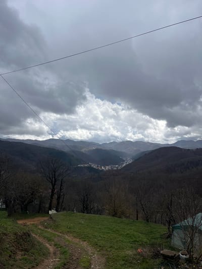 This image presents a panoramic view of a mountainous landscape, likely situated near the village of Churka, Bulgaria, observed from an elevated position looking into a valley. The sky is largely overcast with prominent dark grey clouds, featuring some lighter grey and white patches, particularly near the horizon, suggesting variable cloud cover. Two dark, thin utility lines are visible across the upper portion of the sky, one traversing diagonally from the upper-left to the mid-right, and a shorter segment extending from the upper-left edge.
In the immediate foreground, a dirt track with two distinct vehicle ruts ascends from the lower-left, curving slightly onto a grassy slope. The grass is green, indicating vegetation. Scattered bare deciduous trees with dark trunks and visible branches are present on the left and center-right. On the far right, partially obscured, is a light-colored structure with a green, rounded top, resembling a storage container or small shed, next to a white bucket.
The midground is dominated by a deep, forested valley. The trees within this valley are mostly bare, consistent with late autumn, winter, or early spring. Nestled within this valley, a cluster of buildings forms a small town or village (Churka, Bulgaria), characterized by light-colored structures and some visible reddish rooftops.
Beyond the valley, multiple layers of mountains extend into the distant background, their contours gradually fading and becoming lighter in tone due to atmospheric perspective. No human figures or animals are visible within the scene, and no explicit actions are depicted.